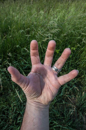 A hand with silver ring before the meadowの写真素材