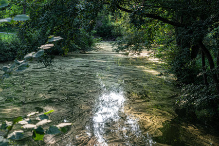 Dirty water with trails of pollen or bacteria