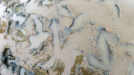 Tracks in the mud of the North Sea at low tide