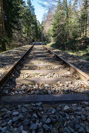 Old and lonely railroad through the green forestの写真素材