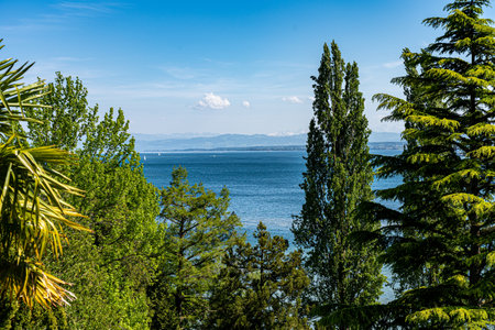 View of the biggest German lake called Lake Constanceの写真素材