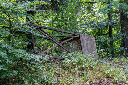 Destroyed raised hide for hunting in the middle of the forestの写真素材