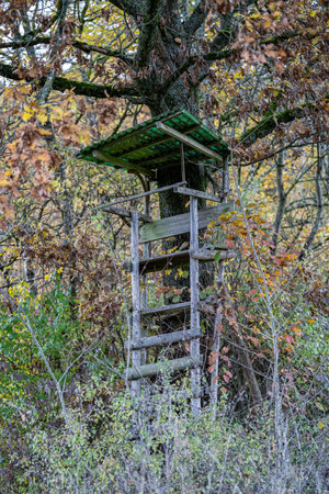 Small raised hide for hunting in the middle of the forestの写真素材
