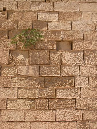 impression of Malta, an island in the mediterranean seaの写真素材