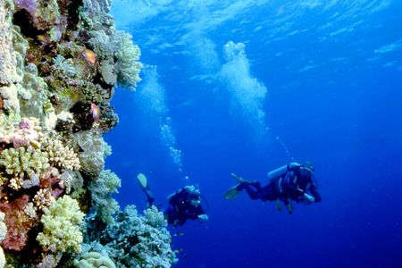 Two scubadivers dining in the red sea beside a reef wallの写真素材