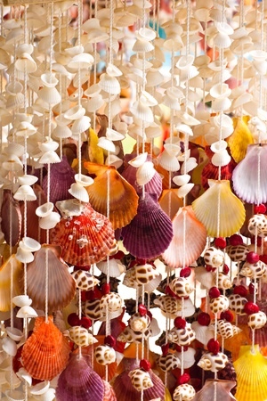 Handicrafts produced by the shell wall の写真素材