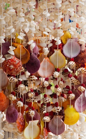 Handicrafts produced by the shell wall の写真素材