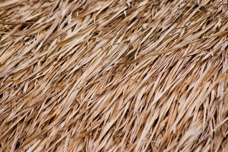 Close up of ground. Texture of straw. の写真素材