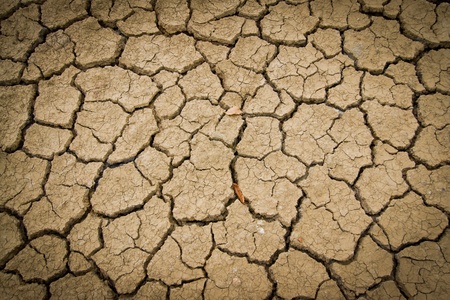 Crack soil の写真素材