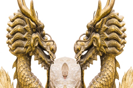 the golden dargonの写真素材