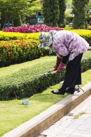 woman working on the gardenのeditorial素材