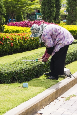 woman working on the gardenのeditorial素材