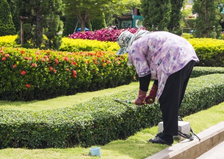 woman working on the gardenのeditorial素材