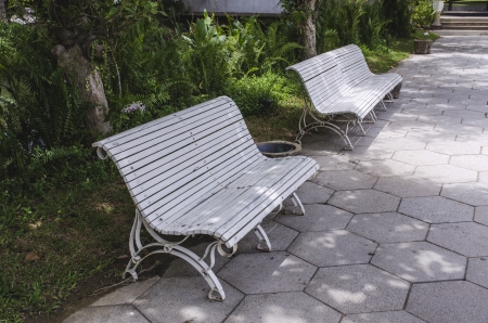 White bench under tree on the garden.の写真素材