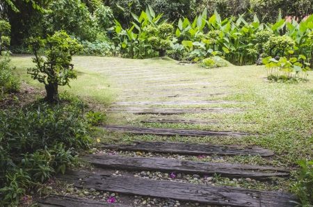 walk way to the garden made from woodenの写真素材