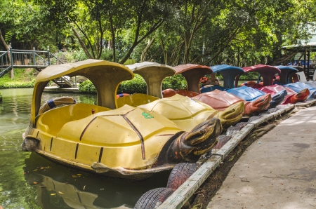 A row of bright paddle boats are locked. prepare for active.の写真素材