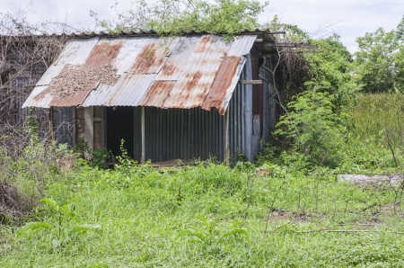 house made from galvanized iron plateの写真素材