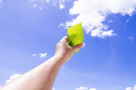 a hand holding leaf with blue sky backgroundの写真素材