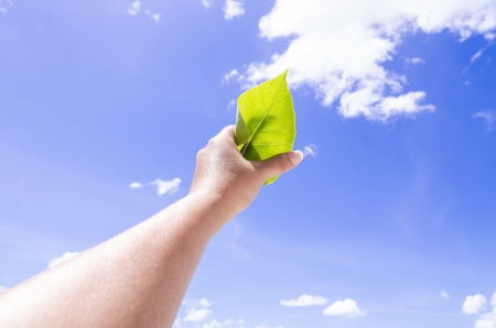 a hand holding leaf with blue sky backgroundの写真素材