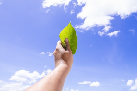 a hand holding leaf with blue sky backgroundの写真素材