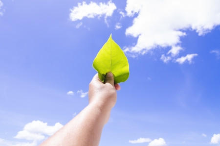 a hand holding leaf with blue sky backgroundの写真素材