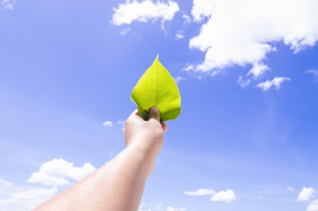 a hand holding leaf with blue sky backgroundの写真素材