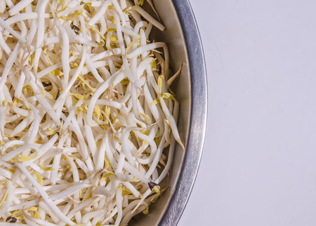 Bean Sprouts on dishの写真素材