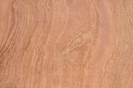 Texture of wood, for background.の写真素材
