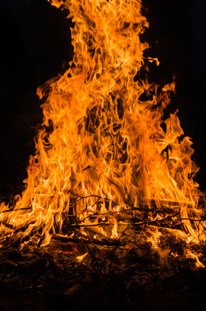 fire flames in the night.の写真素材
