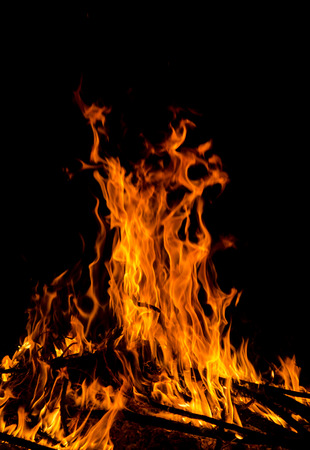 fire flames in the night.の写真素材