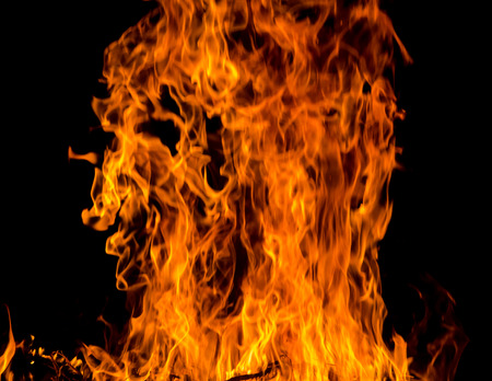fire flames in the night.の写真素材