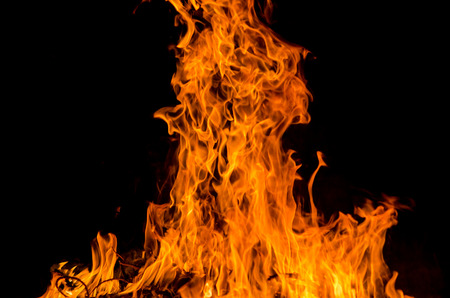 fire flames in the night.の写真素材