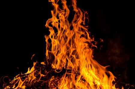 fire flames in the night.の写真素材