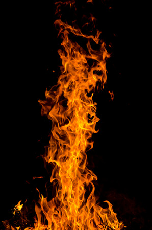 fire flames in the night.の写真素材