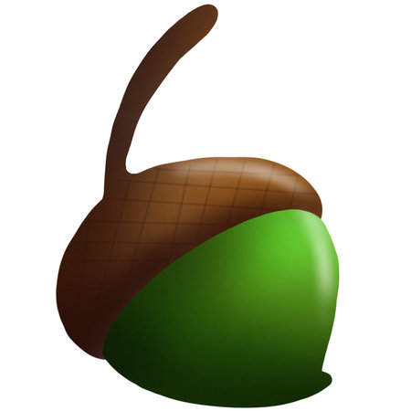 acorn Illustration of an acorn on a white background. Vector illustrationの写真素材