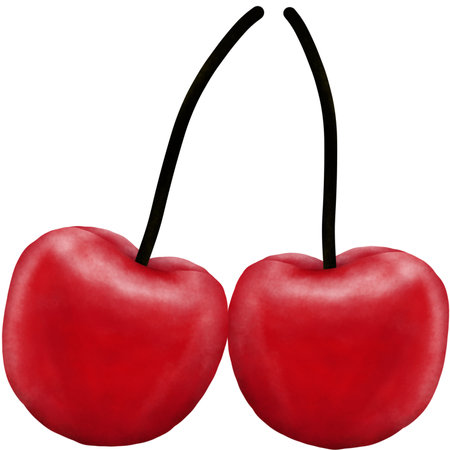 Illustration of a pair of cherries on a white background.の写真素材