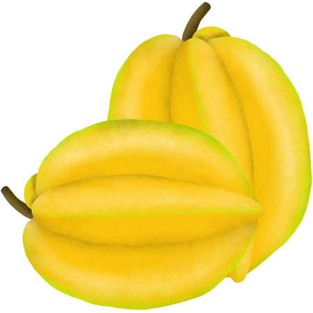 Carambola or starfruit isolated on white background. Vector illustration.の写真素材
