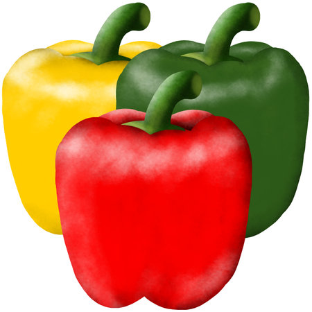 Pepper vector illustration. Red, yellow and green paprika.の写真素材