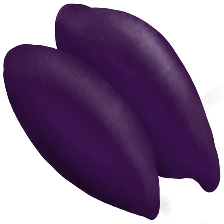 Illustration of two purple petals on a white background - vectorの写真素材