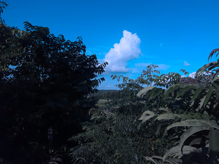 Sky blue background. Sky cloud clearの写真素材