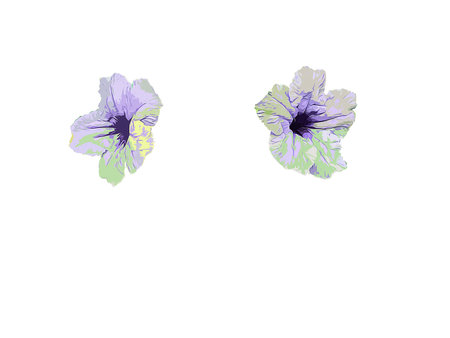 vector flower on white backgroundのイラスト素材