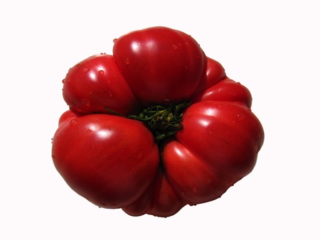 Fresh ripe red big tomato photographed from above isolated on white background                              の写真素材