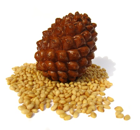 Cedar cones and pine nuts isolated on a white background                               の写真素材