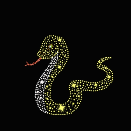 Symbol of 2013 year is snake on a black background made from starsの写真素材