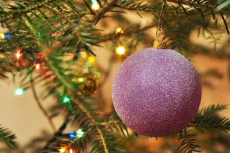 New Year background, Christmas tree with purple ball and garlandの写真素材