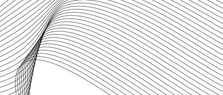 Illustration of the pattern of gray lines on white backgroundの写真素材