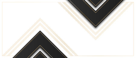 Modern black and white cover design set. Luxury creative golden line patternの写真素材