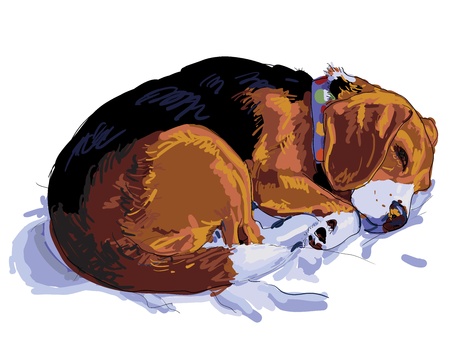 Beagle is sleeping on her cushion のイラスト素材