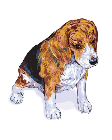 Beagle is sitting that look like she waiting somthing のイラスト素材