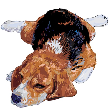  Besgle is resting and nearly to sleep のイラスト素材